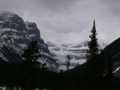 Columbia Icefields